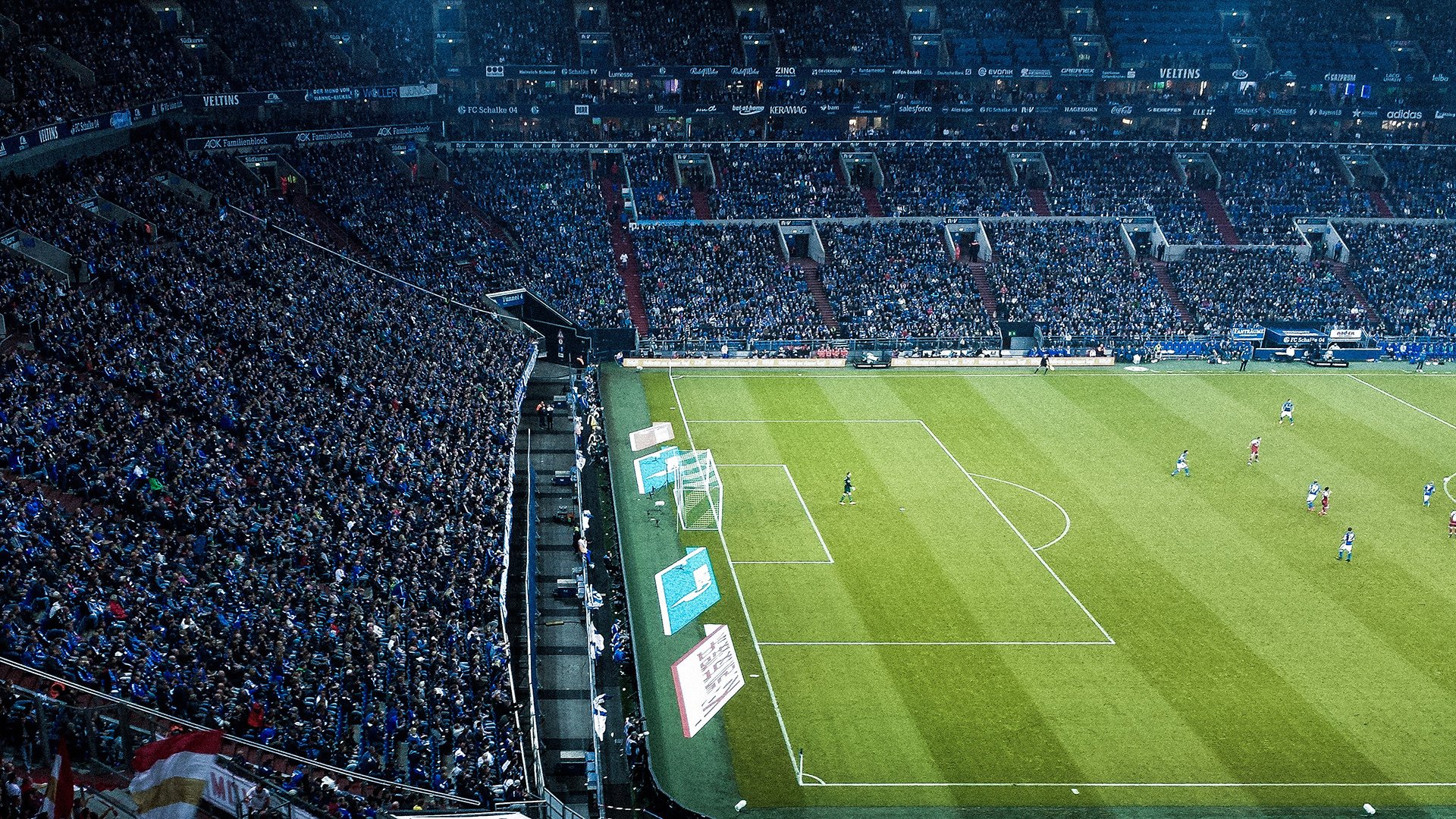 美洲杯英雄辈出：逆境中绽放光彩！，美洲杯有谁